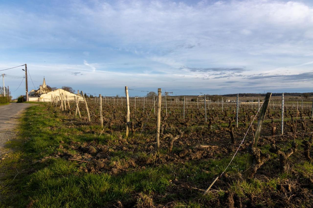 Maison Chaleureuse-Grand Jardin-Proche Saumur Parnay Bagian luar foto